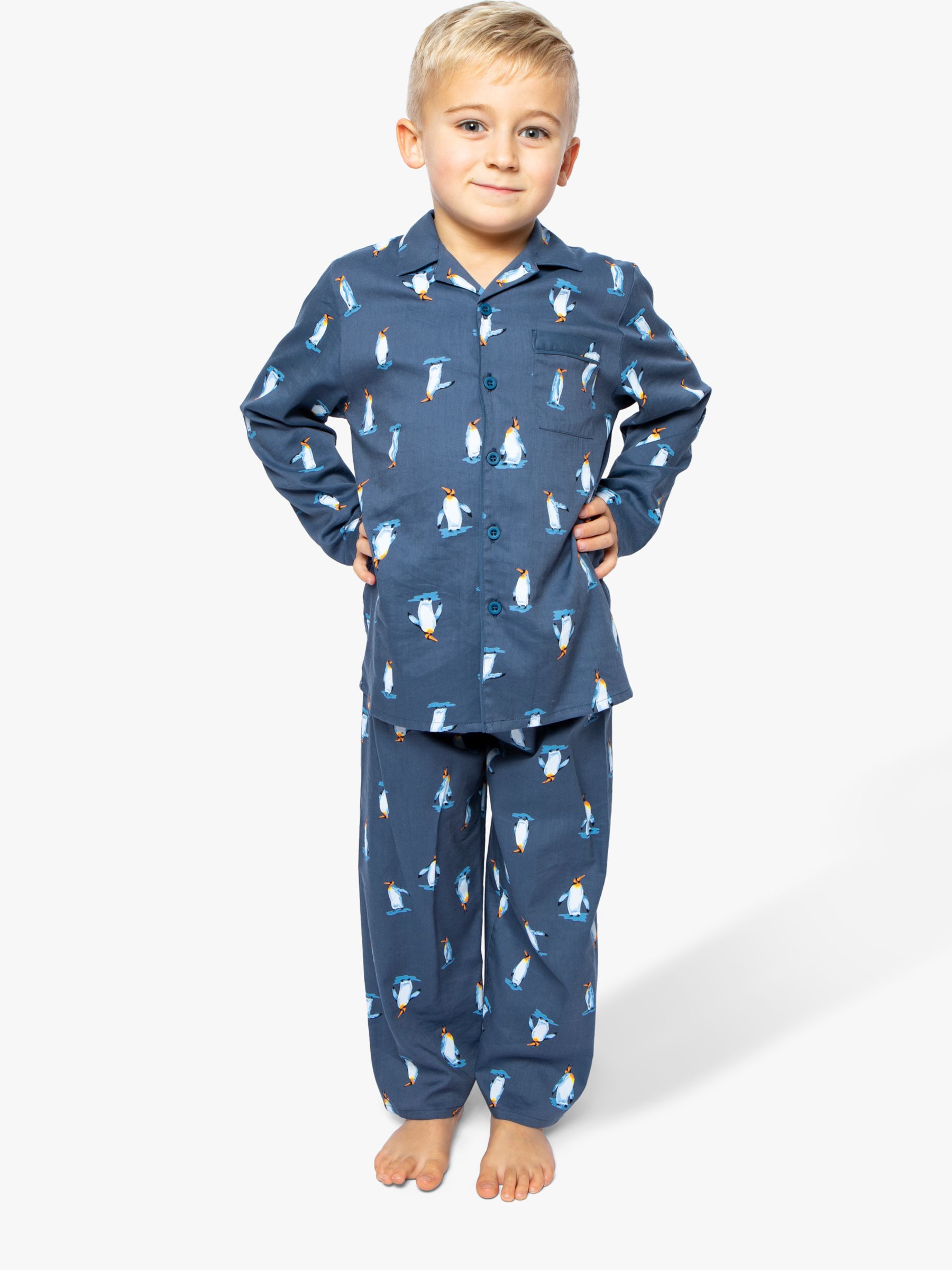 Image of Cyberjammies Boys Penguin Print Pyjamas Navy